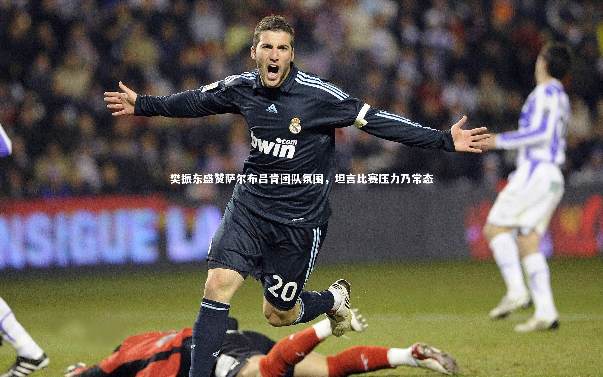 樊振东盛赞萨尔布吕肯团队氛围，坦言比赛压力乃常态